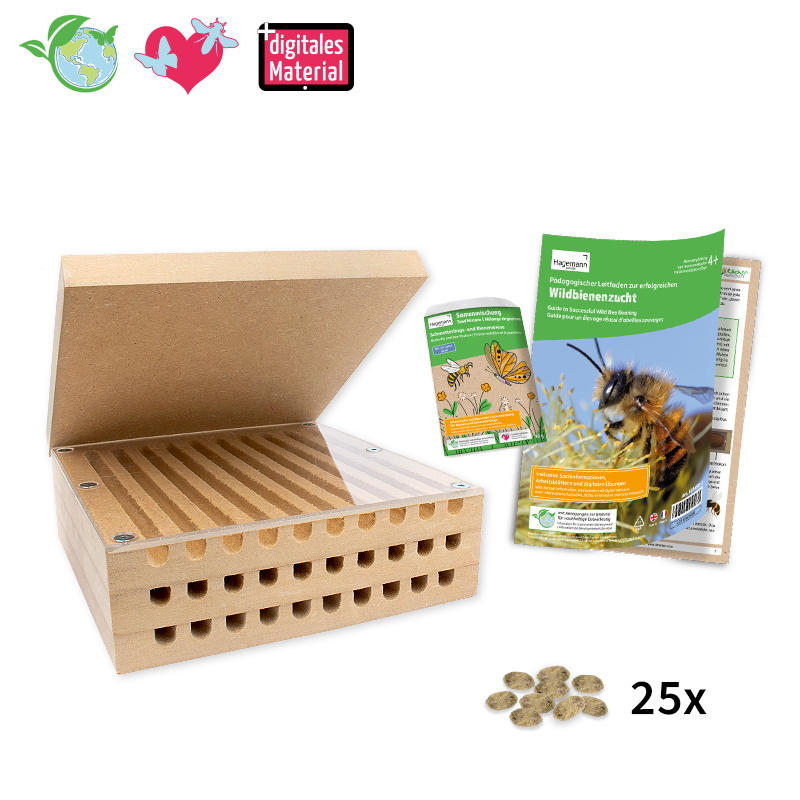 Zuchtset "Wildbienen" kompakt, Rote Mauerbiene, 4-tlg.