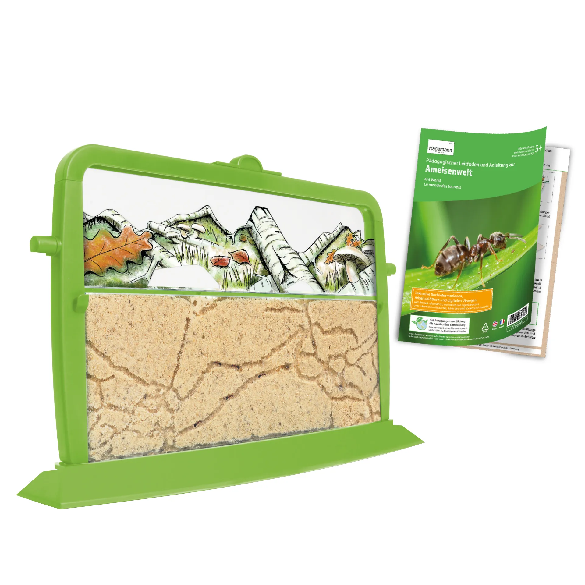 Klassen-Projektset "Tiere züchten + beobachten", 40-tlg.