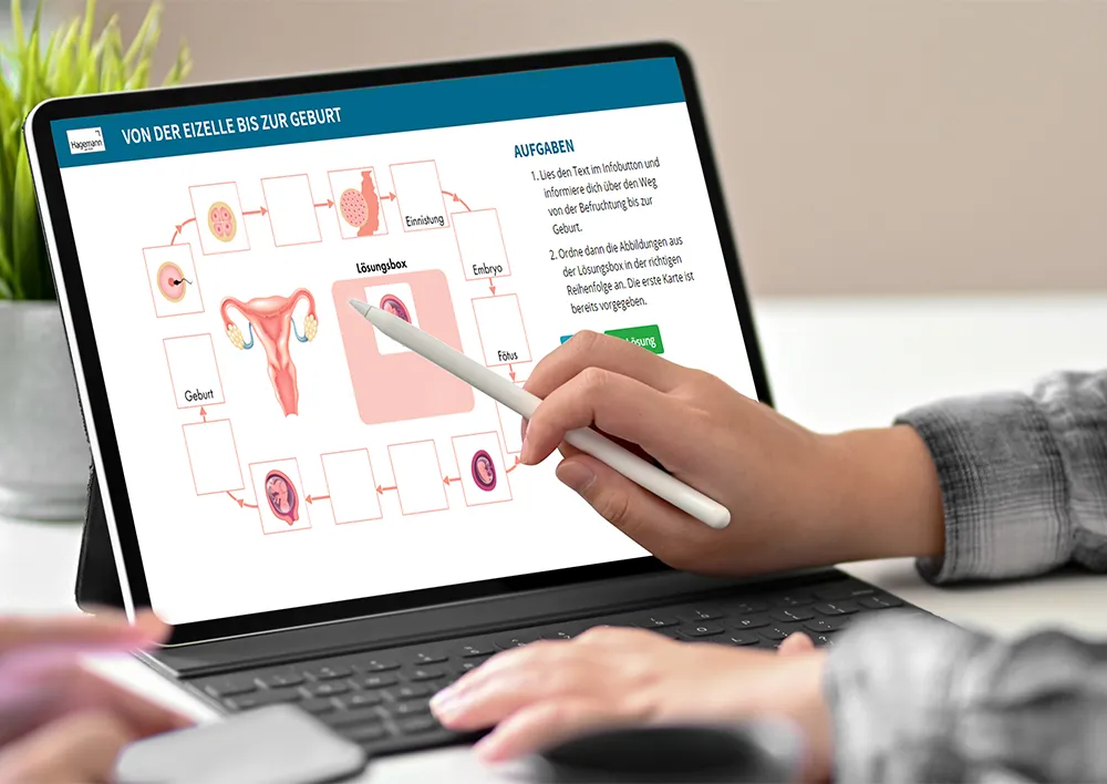 So entsteht ein Kind, magnetisch, 28-tlg.