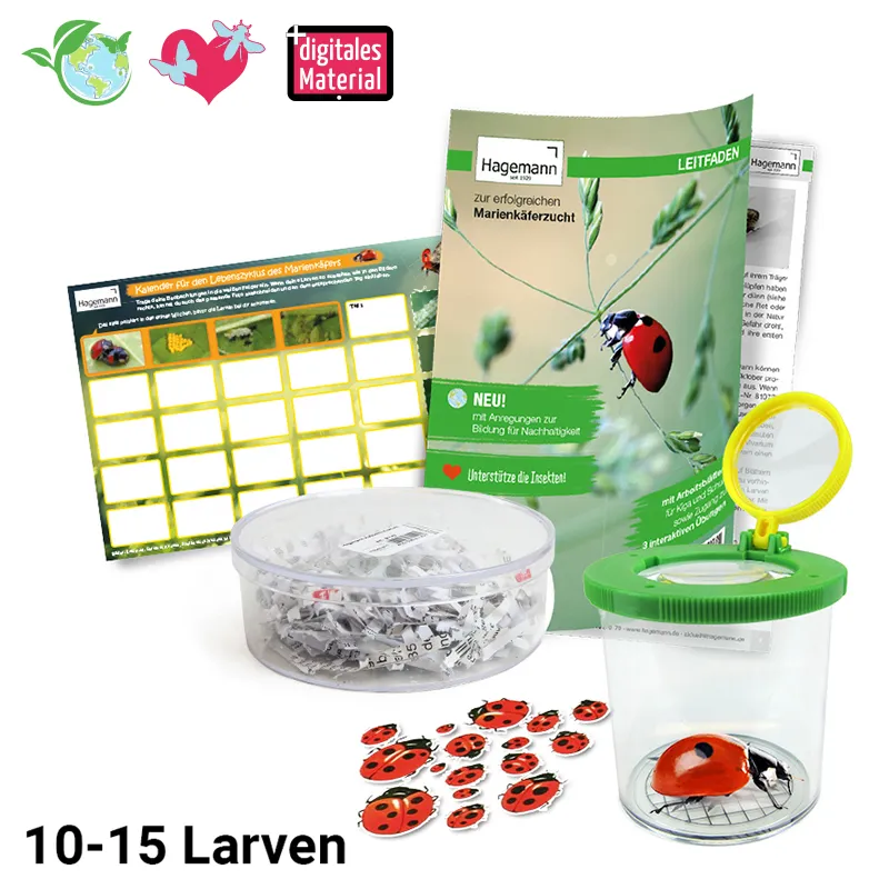 Zuchtset "Marienkäfer", 6-tlg.