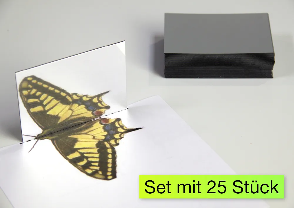 Geometrie-Handspiegel Klassensatz, 25-tlg.
