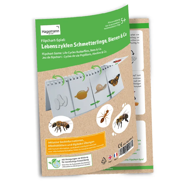 Klappen-Flipchart "Lebenszyklus: Schmetterlinge, Bienen & Co."