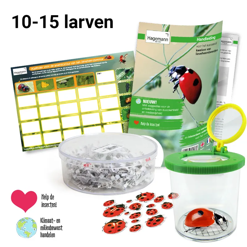 Kweekset "lieveheersbeestje", 6-delig