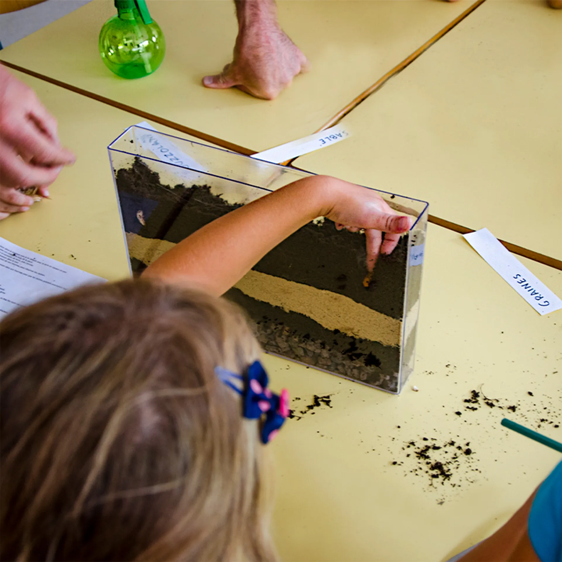 Observatieset "wortels + regenwormen", 13-delig