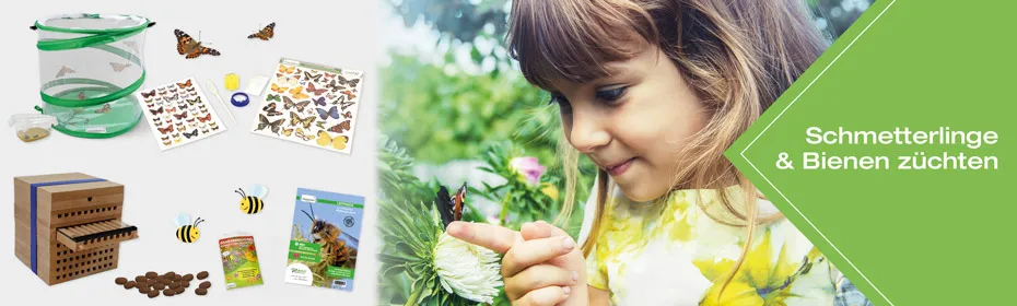 kiga-schmetterlinge-und-bienen-zuechten_themenwelt