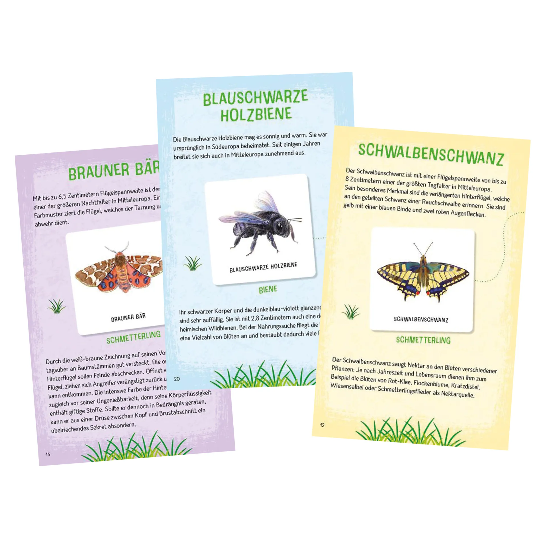 Memo-Spiel "Das große Insekten Memo", 61-tlg.