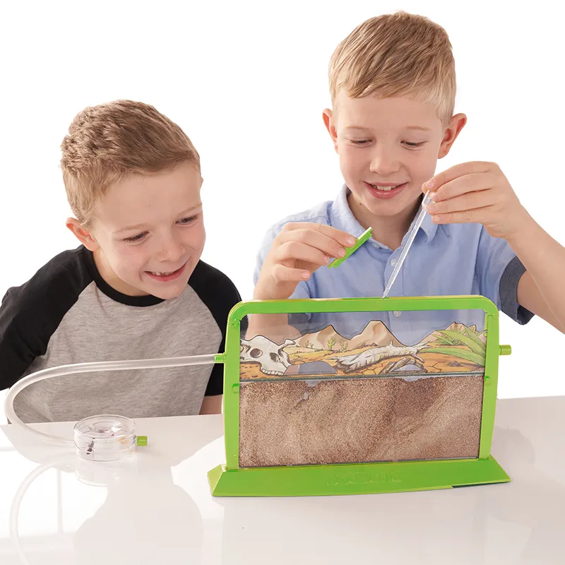 Gutschein-Set "Ameisen", 4-tlg.