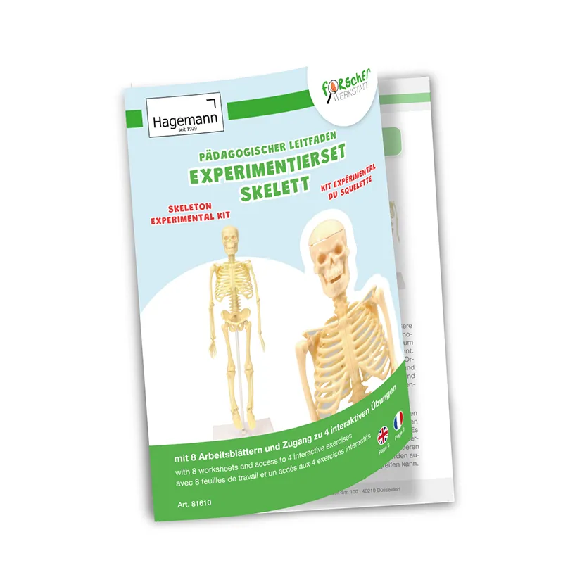 Experimentier-Set "Skelett", 17-tlg.