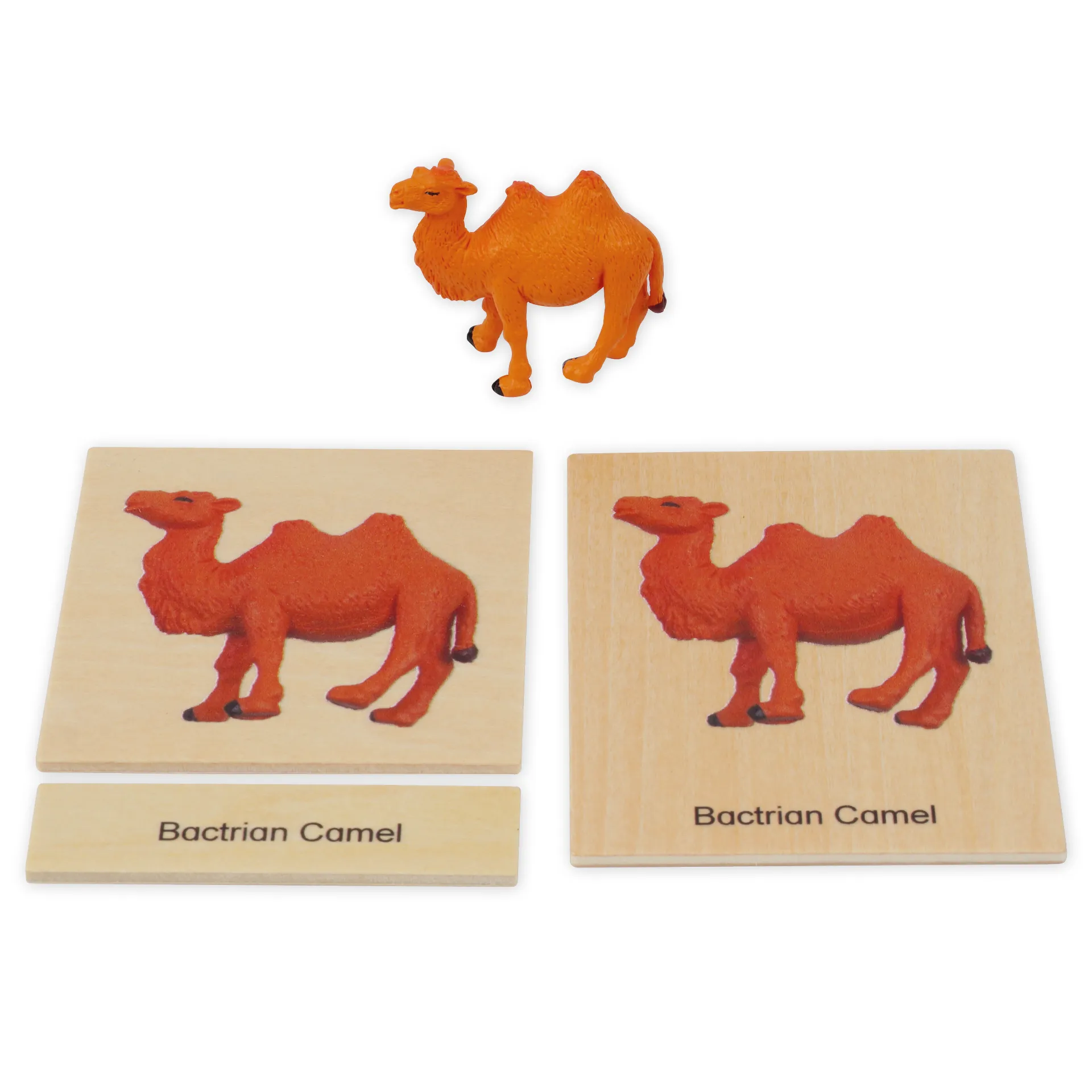 TimeTEX Mini-Tiere-Set Asien "Montessori Premium"