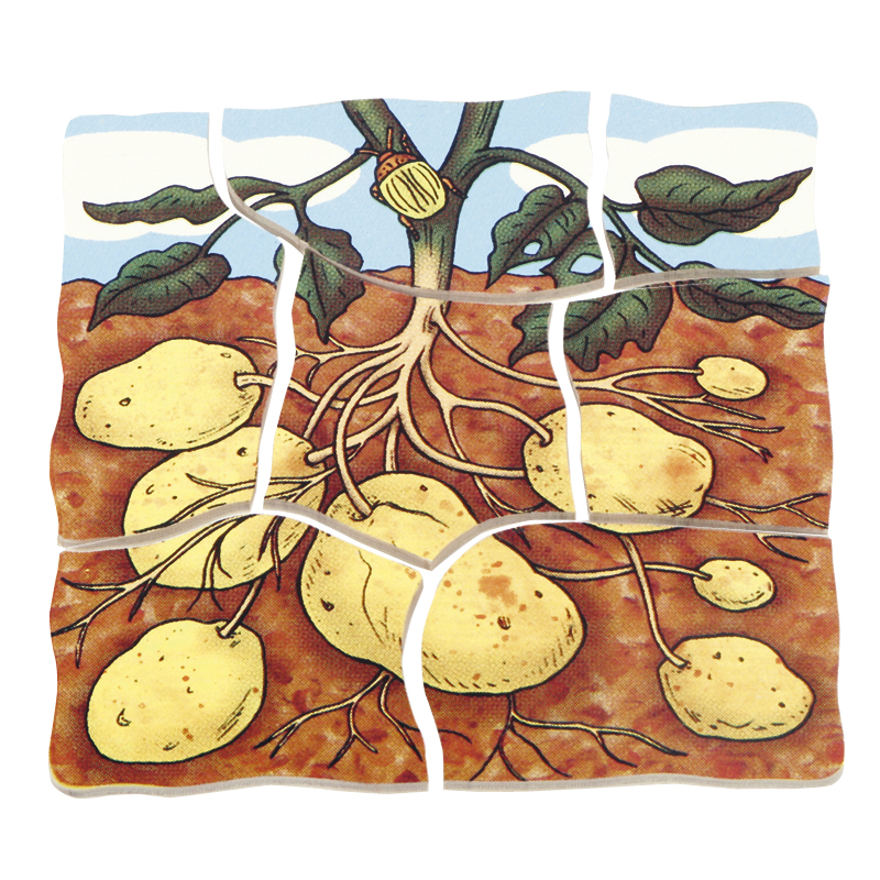 Hagemann beleduc Schichten-Puzzle "Kartoffel", 30-tlg.