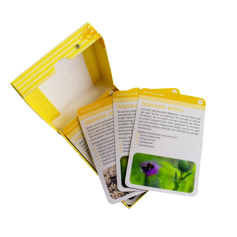 Karten-Set "Insektenglück - Pflanze dir dein buntes Insektenglück", 50-tlg.