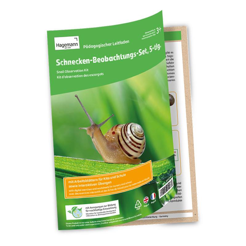 Kit d'observation « Escargots », 5 pcs