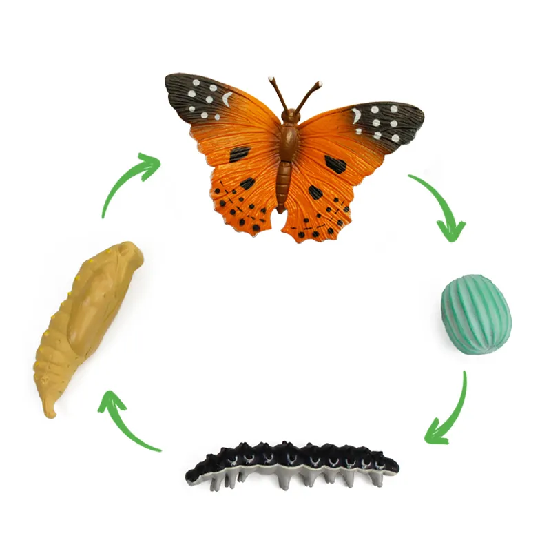 Forscherkoffer "Schmetterlings-Zucht", 46-tlg.