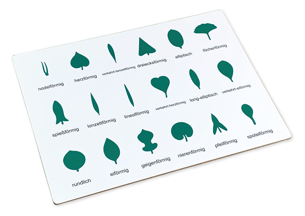 TimeTEX styrkort för den botaniska byrån "Montessori Premium"