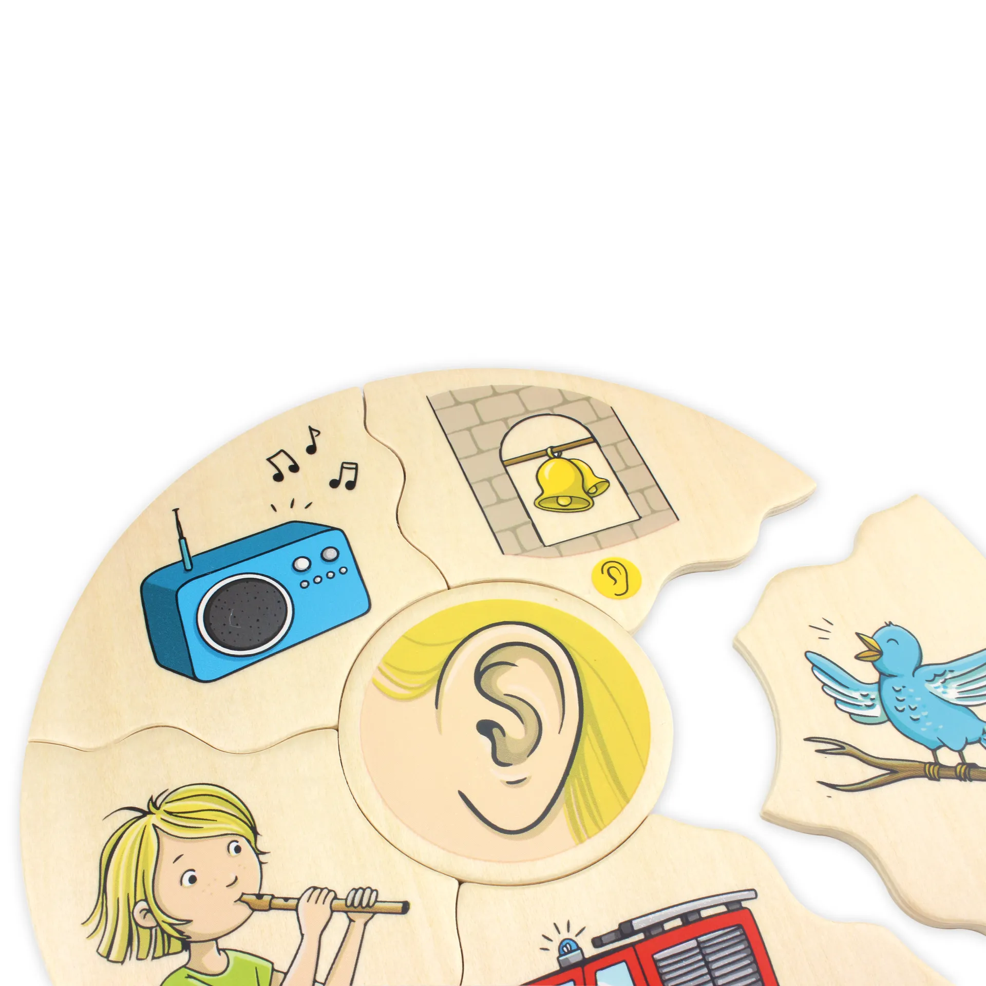 beleduc Puzzle Humanico "5 Sinne", 30-tlg.