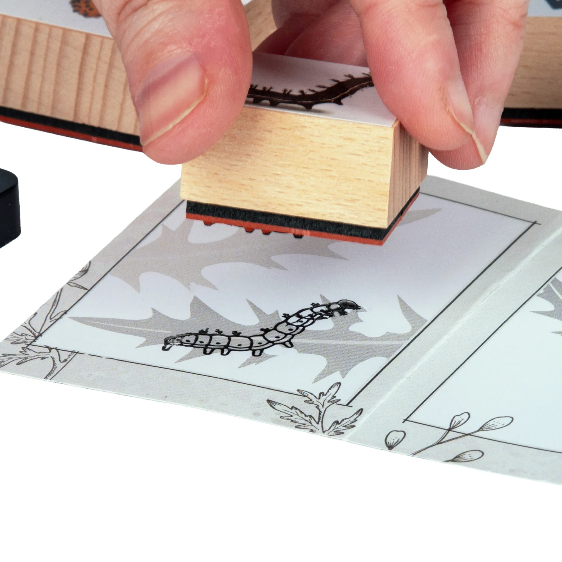 Set Holzstempel "Lebenszyklus Schmetterling", 11-tlg. mit Stempelkissen