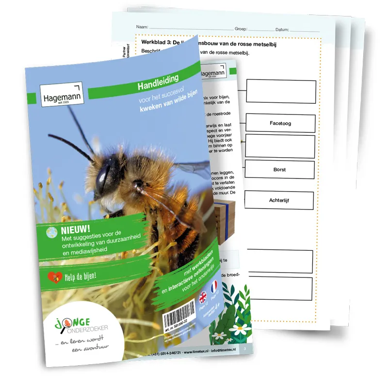 Kweekset "wilde bijen", 5-delig