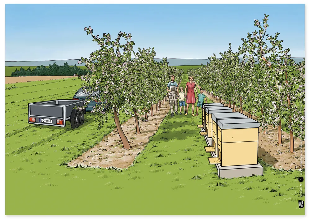 Bildergeschichten-Karten "Von fleißigen Bienen und leckerem Honig", 12-tlg.