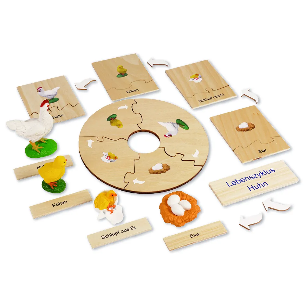 TimeTEX - Ciclul de viață la găini, în cutie din lemn "Montessori Premium"