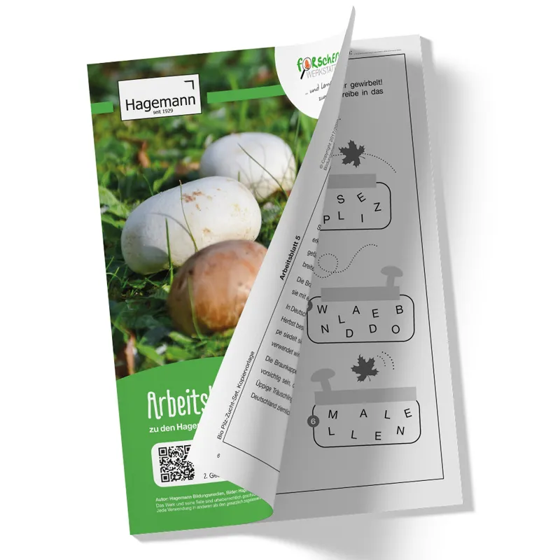 Zuchtset "Champignons braun", Pilze