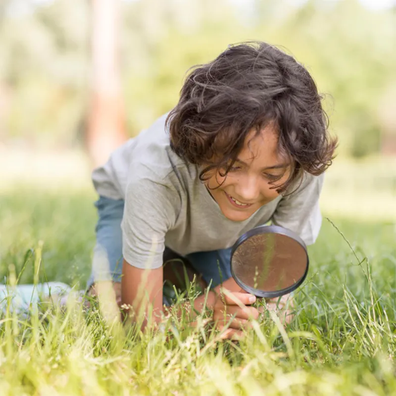 Beobachtungs-Set "Ameisen", 8-tlg.