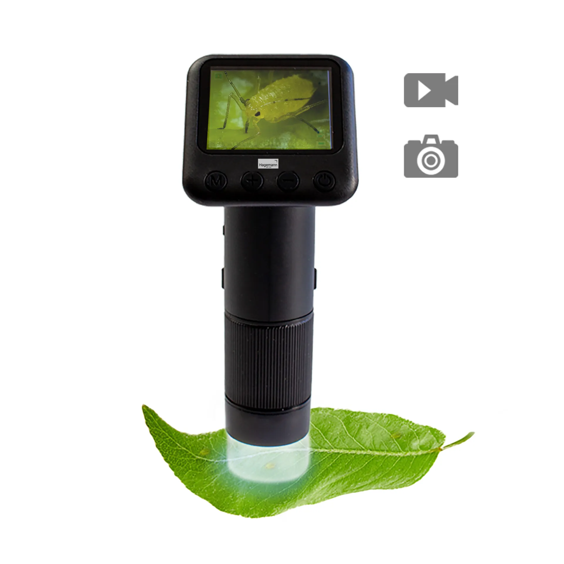 Microscope de poche numérique avec écran, grossissement 800x