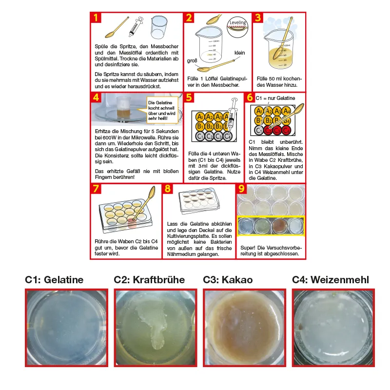Experimentier-Box "Bakterien und Viren", 12-tlg.