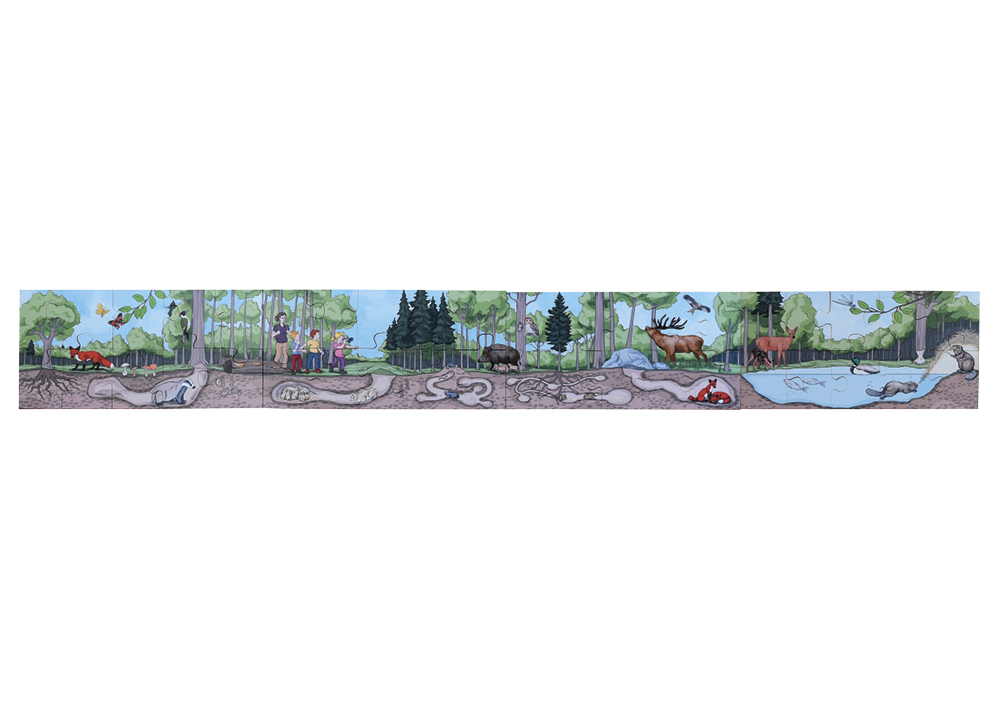 beleduc Boden-Puzzle "Wald entdecken", 40-tlg.