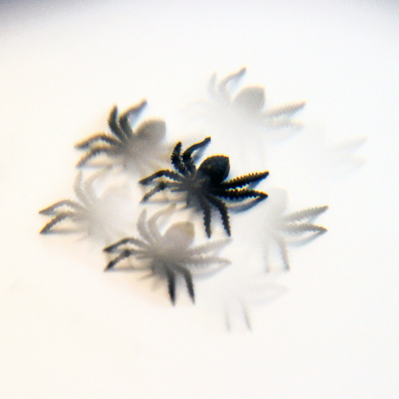 Facetten-Linse, 45 mm ø
