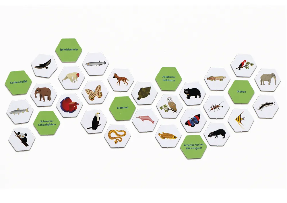 Wimmel-Suchspiel "Dschungel", 308-tlg.