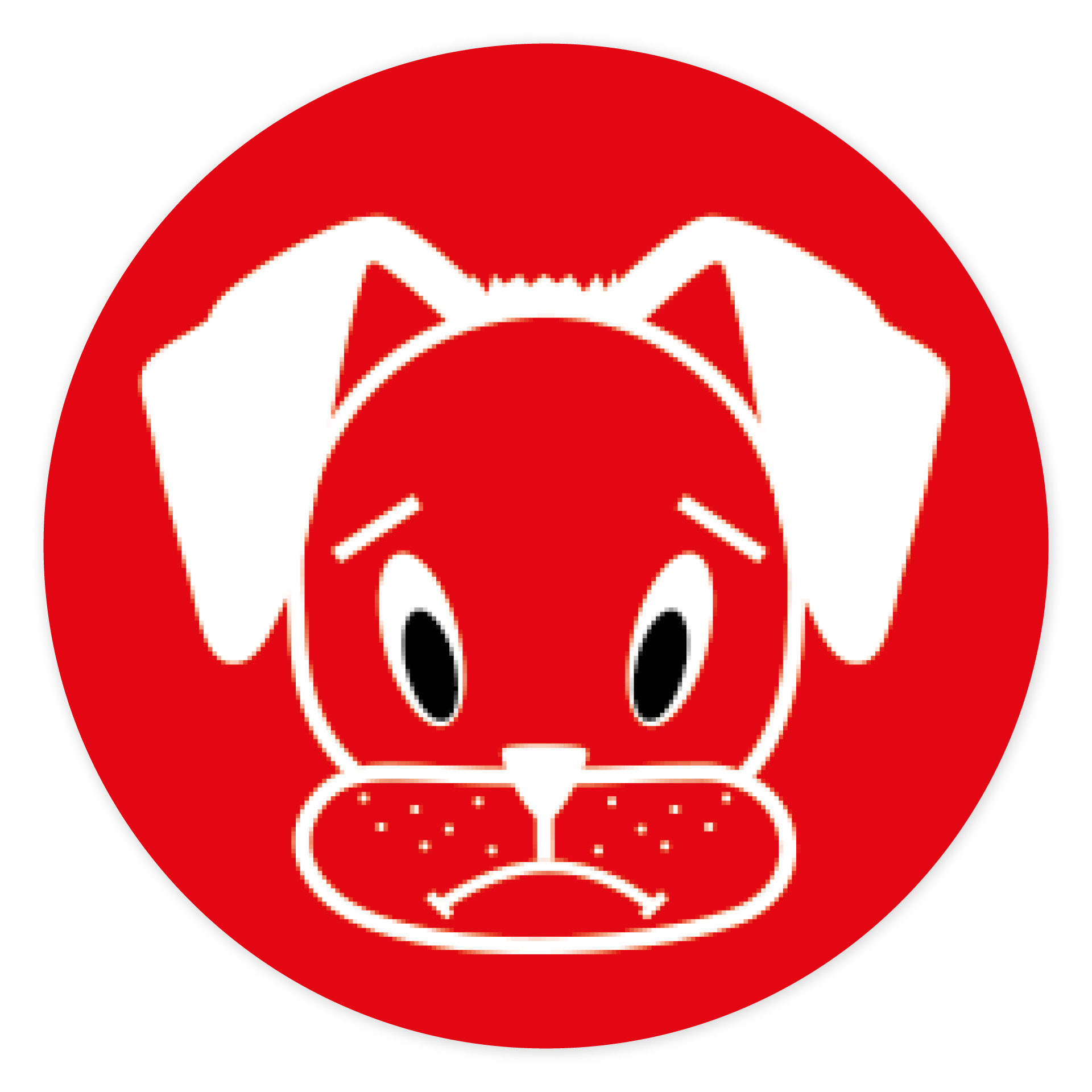 Magnetiska bitar set "Animal faces"