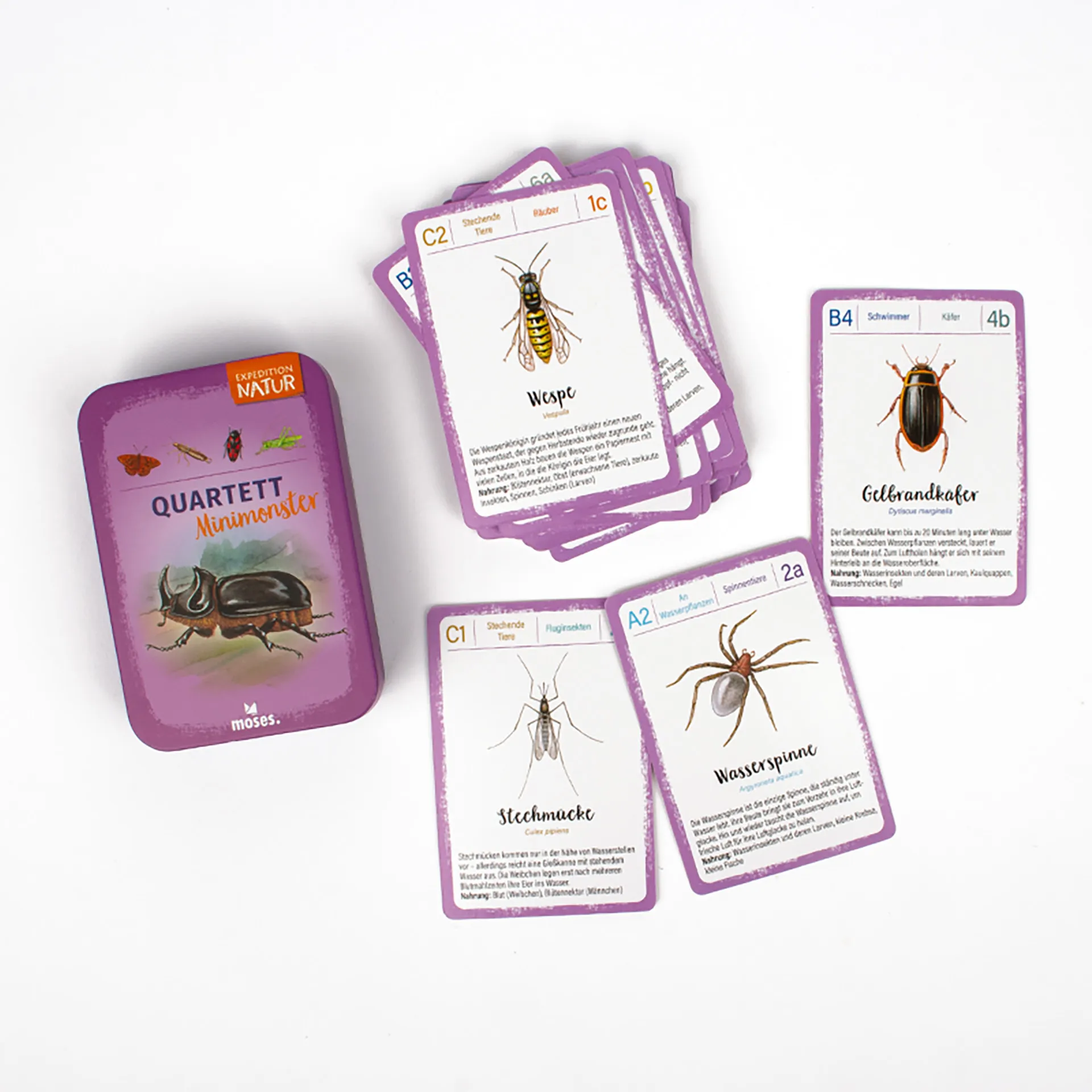 Lernspiel "Minimonster Insekten-Quartett", 32 Karten