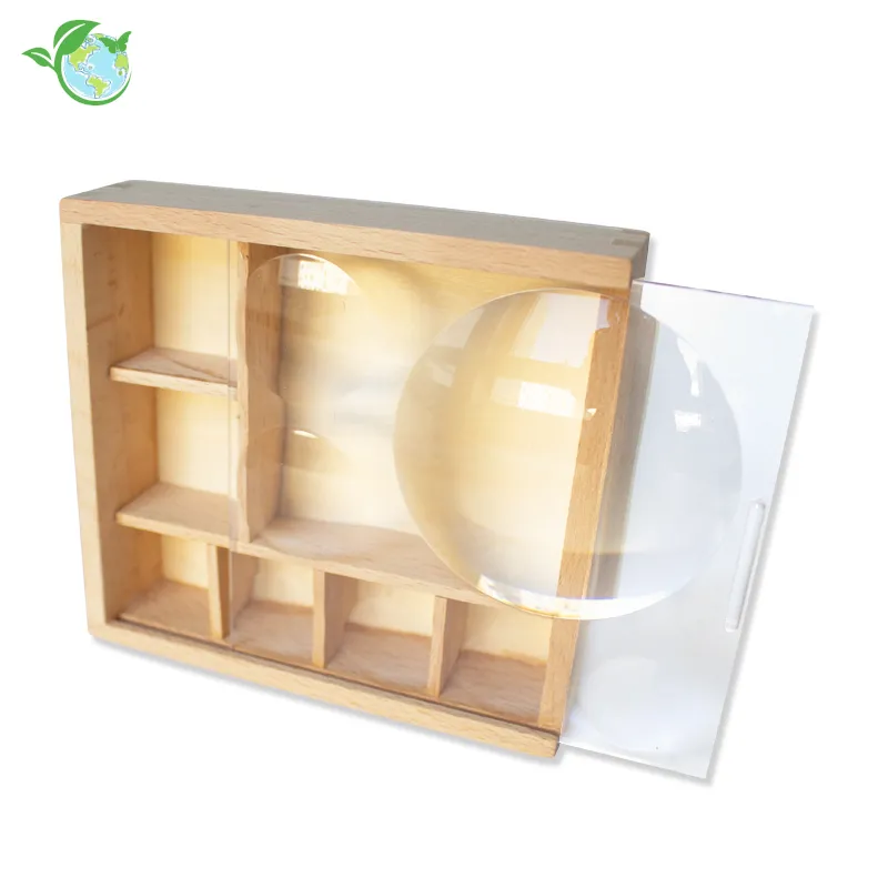 Aufbewahrungs-Box "Mein Insekten- und Naturschätze-Museum", 10,6x11,5 cm