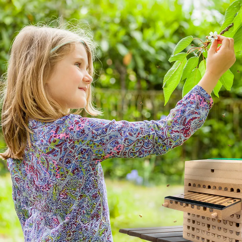 Gruppen-Projektset "Wildbienen", Rote Mauerbiene, 10-tlg.