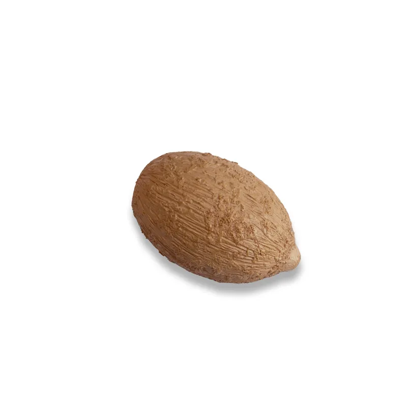 Lebenszyklus-Modell "Wildbiene", 4-tlg.