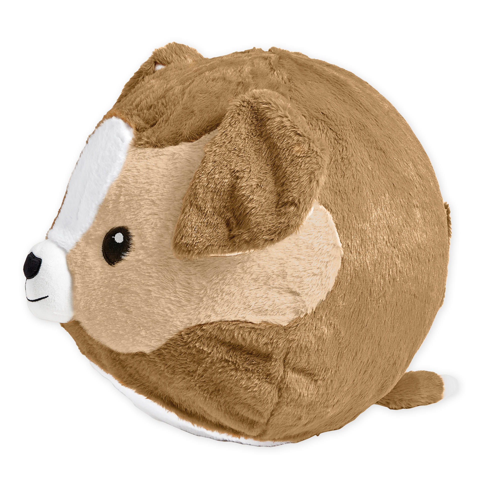 Ball Yoga-Buddy "Hund", mit 13 Karten