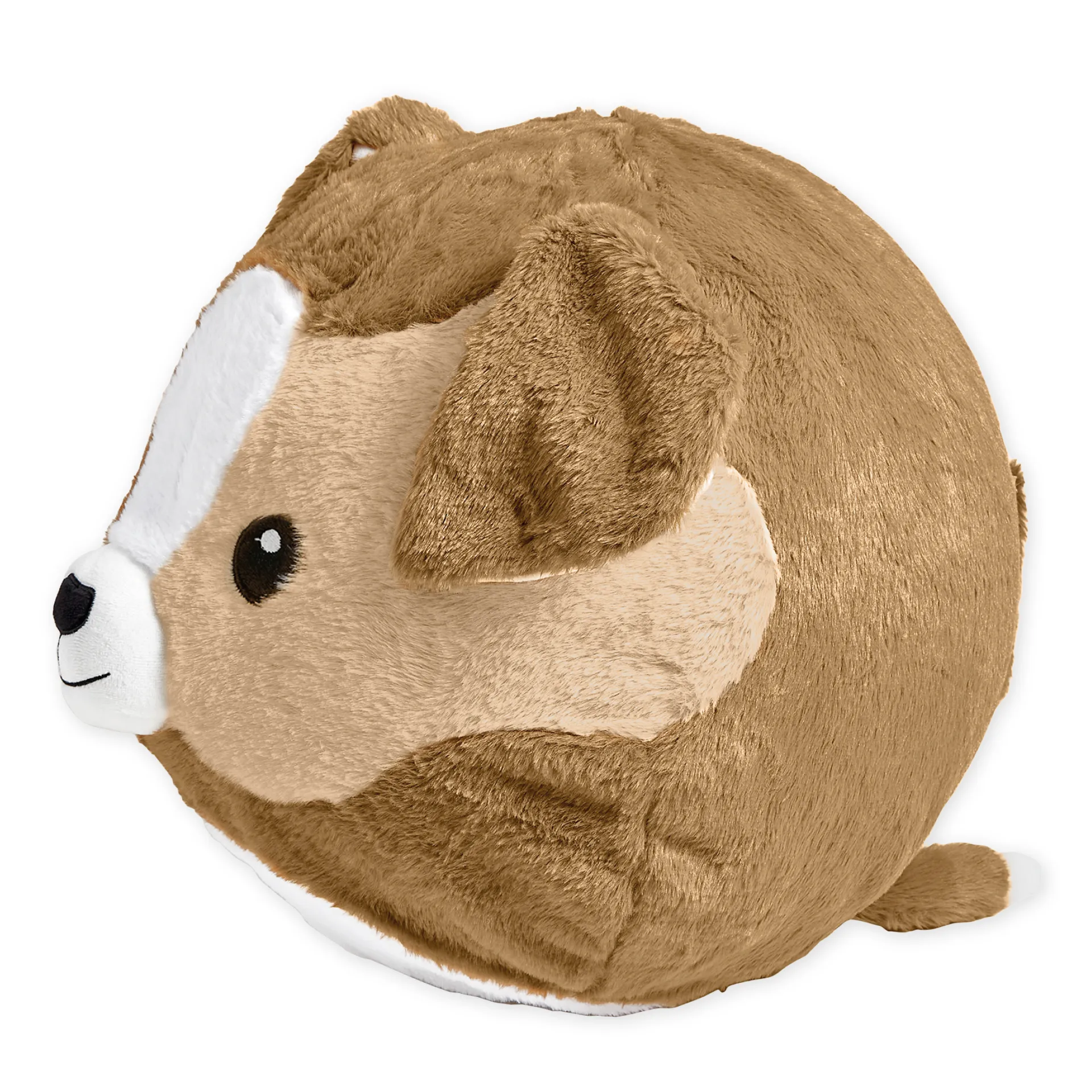 Ball Yoga-Buddy "Hund", mit 13 Karten