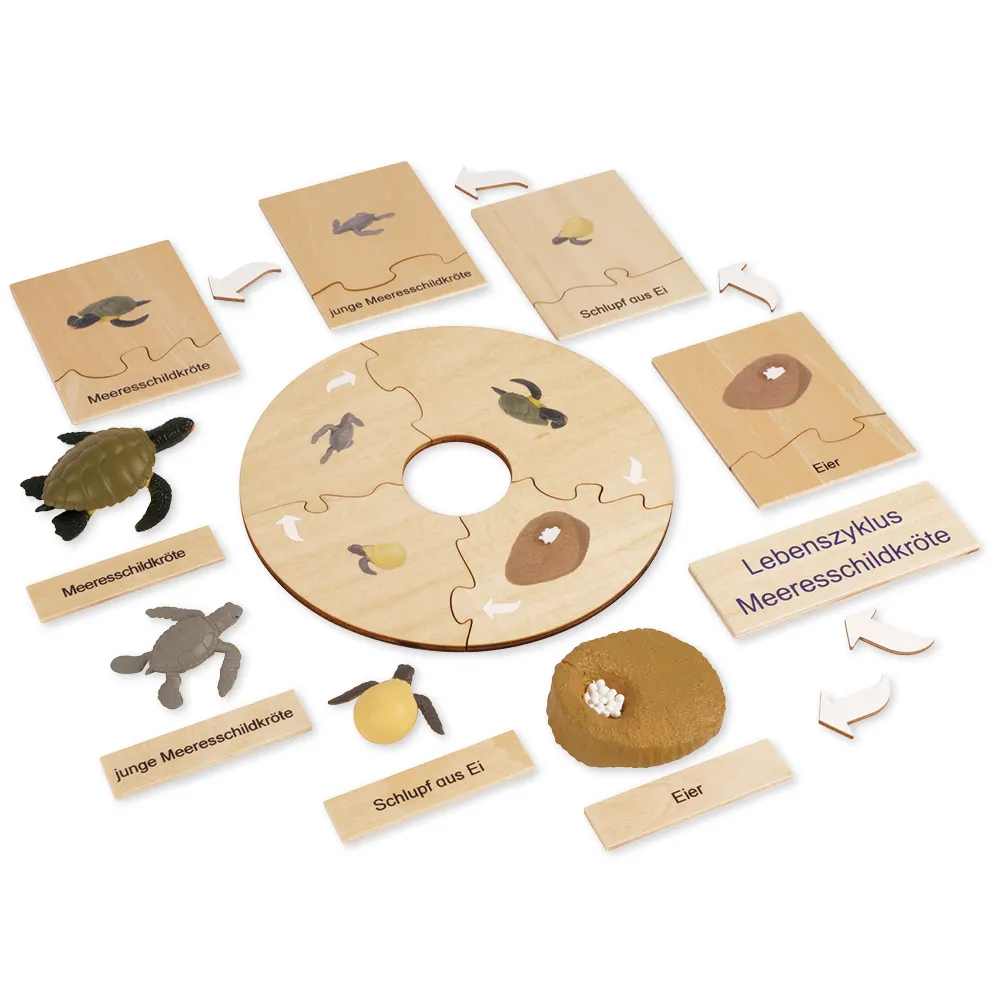 TimeTEX - Ciclul de viață la broaștele țestoase, în cutie din lemn "Montessori Premium"
