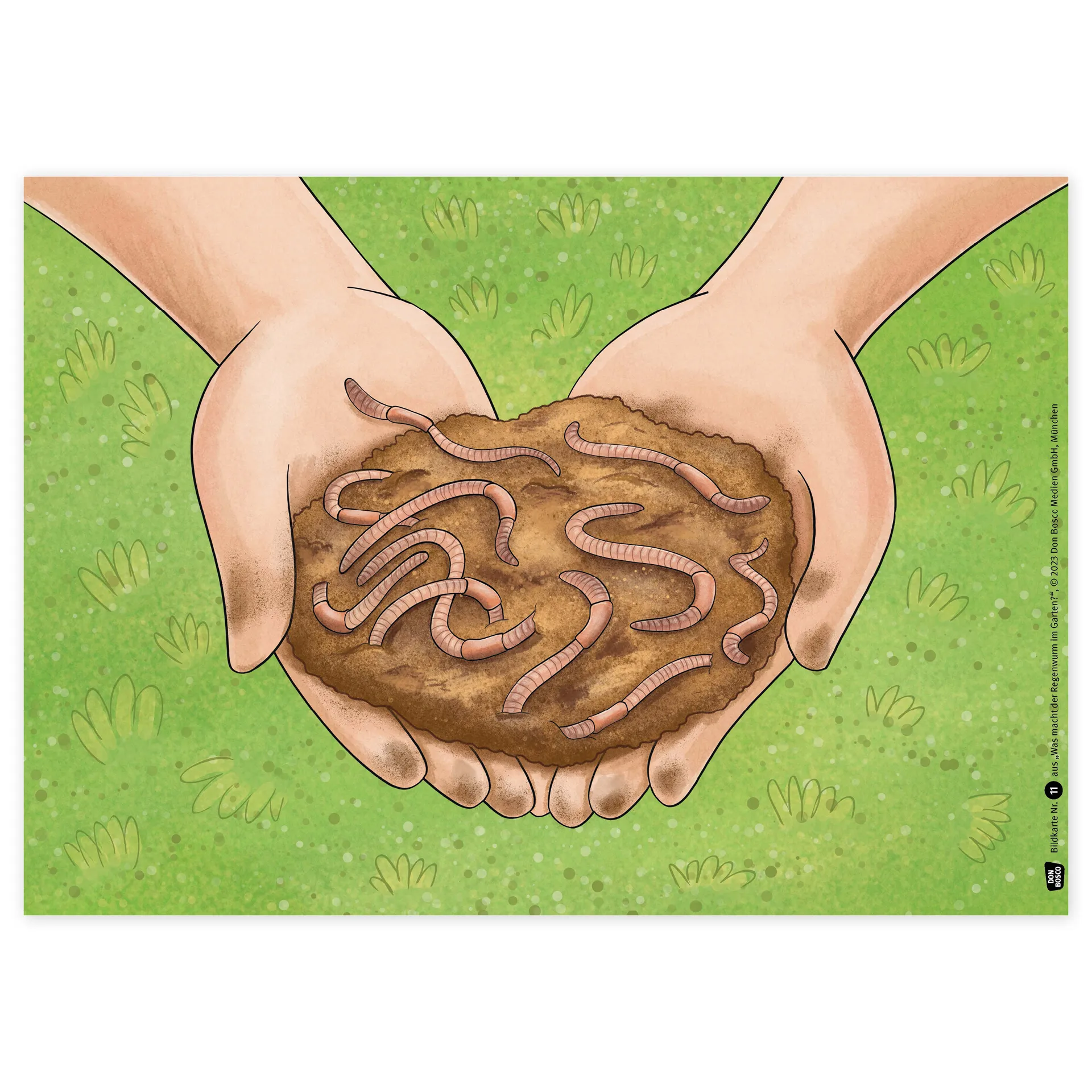 Bildergeschichten-Karten "Was macht der Regenwurm im Garten?", 12-tlg.