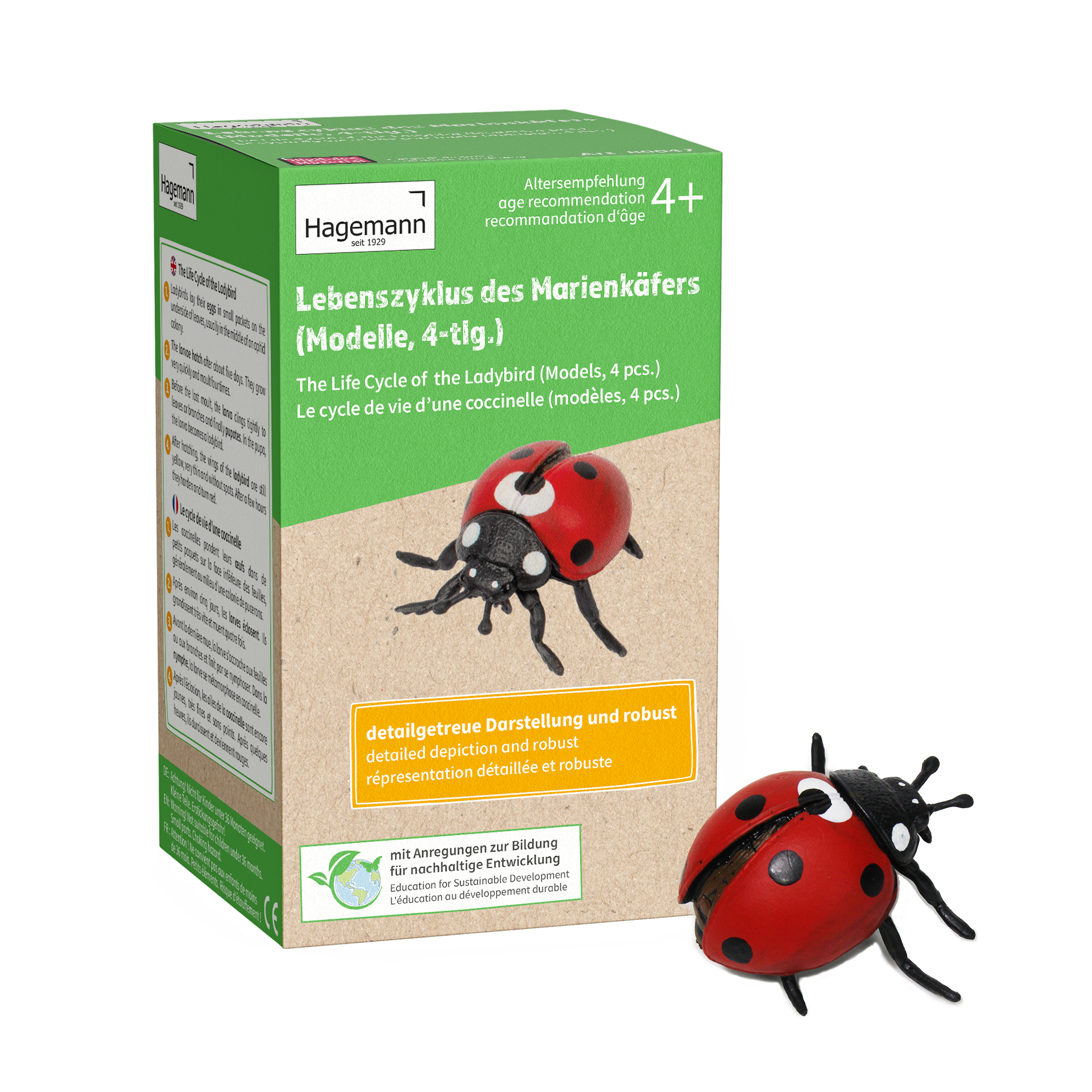 Livscykelmodell "Ladybird", 4 delar.