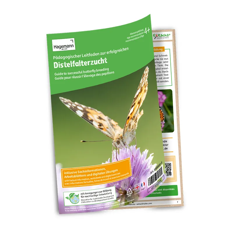 Klassen-Projektset "Schmetterlings-Zucht", 65-tlg.