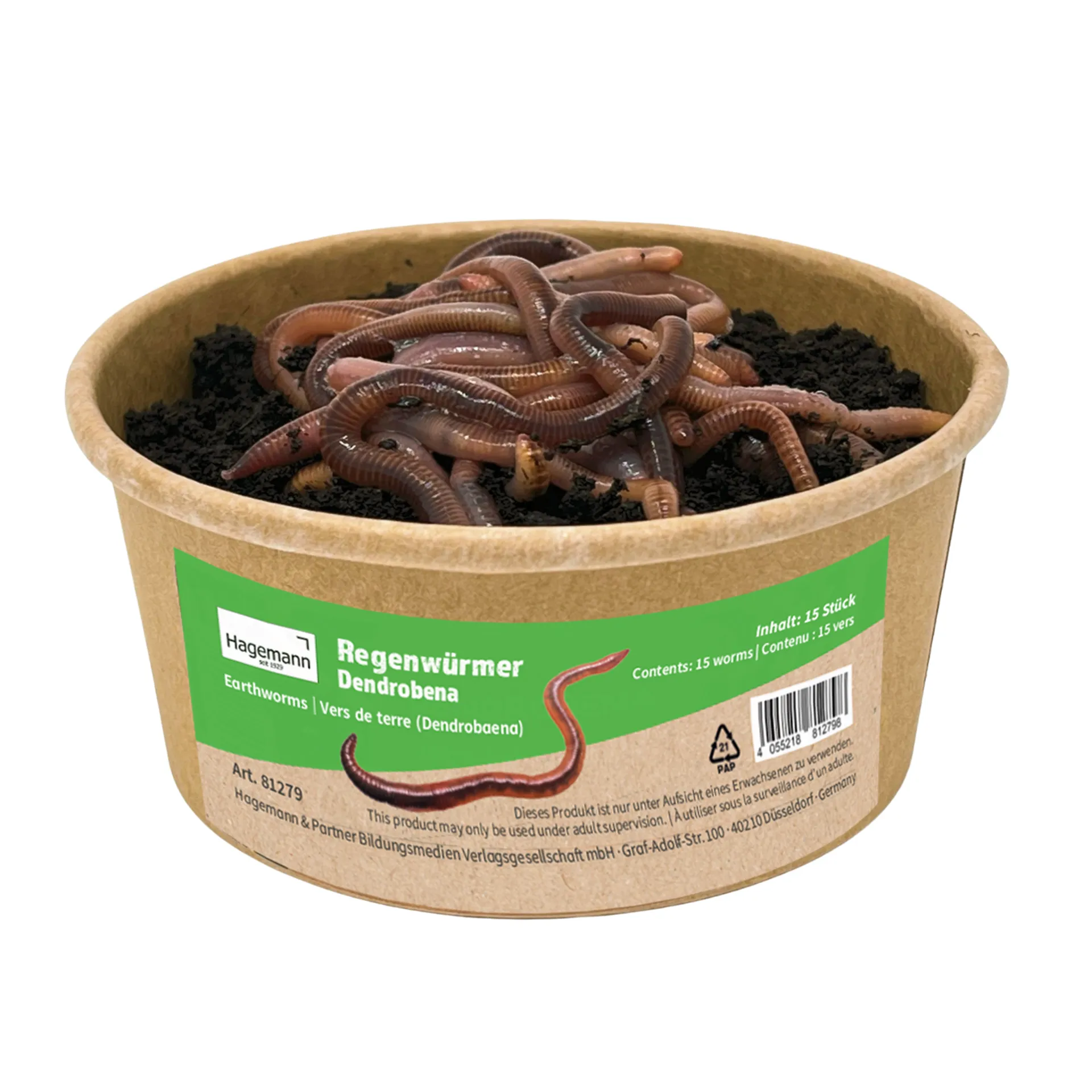 Zuchtset "Regenwürmer", 5-tlg.