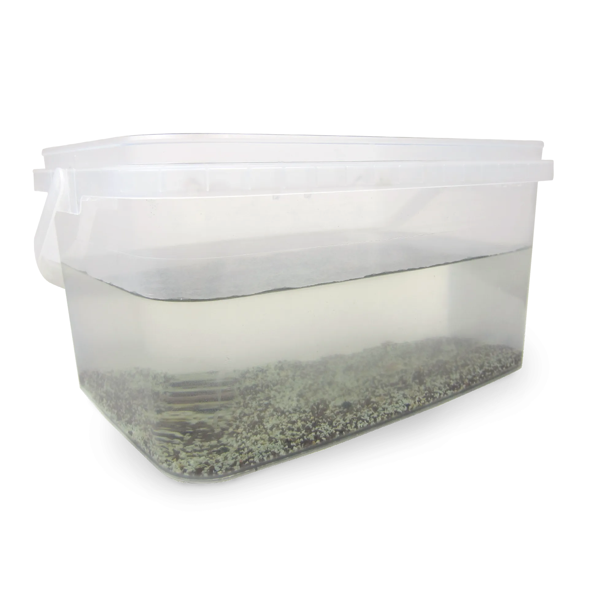 Zuchtset "Triops", 6-tlg.