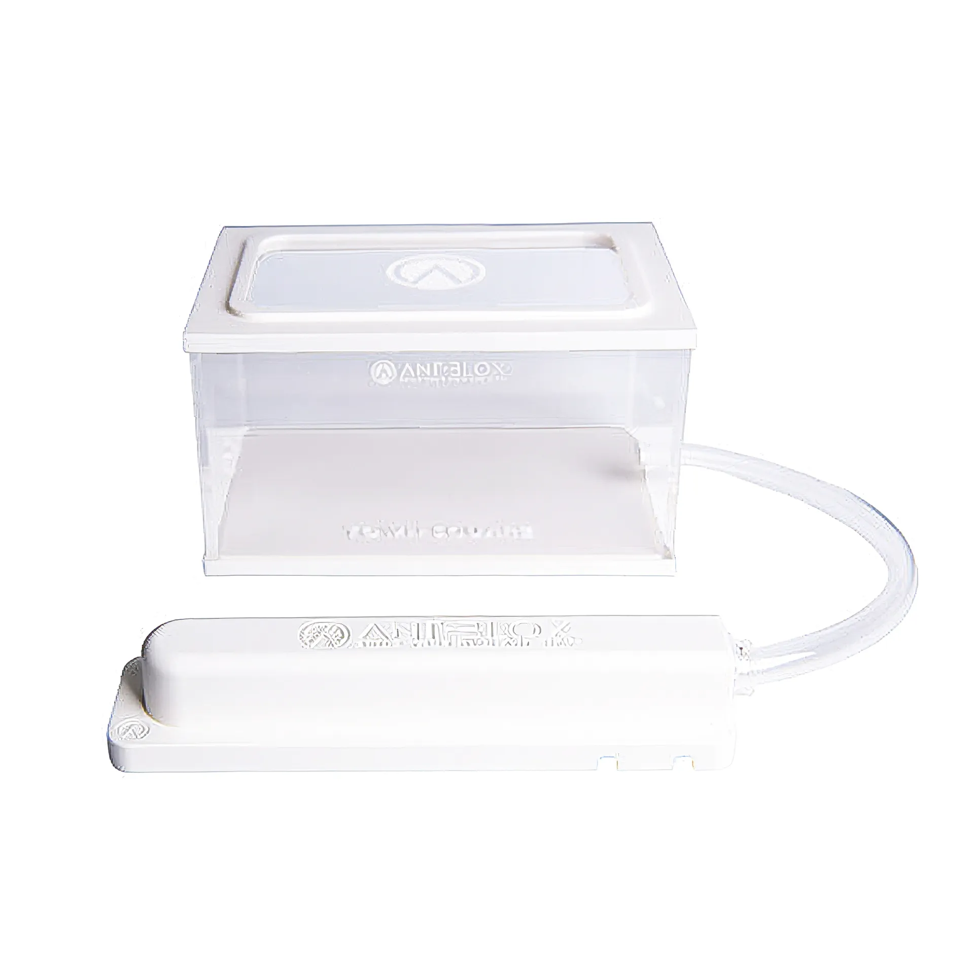 Zuchtset "Ameisen", 4-tlg.