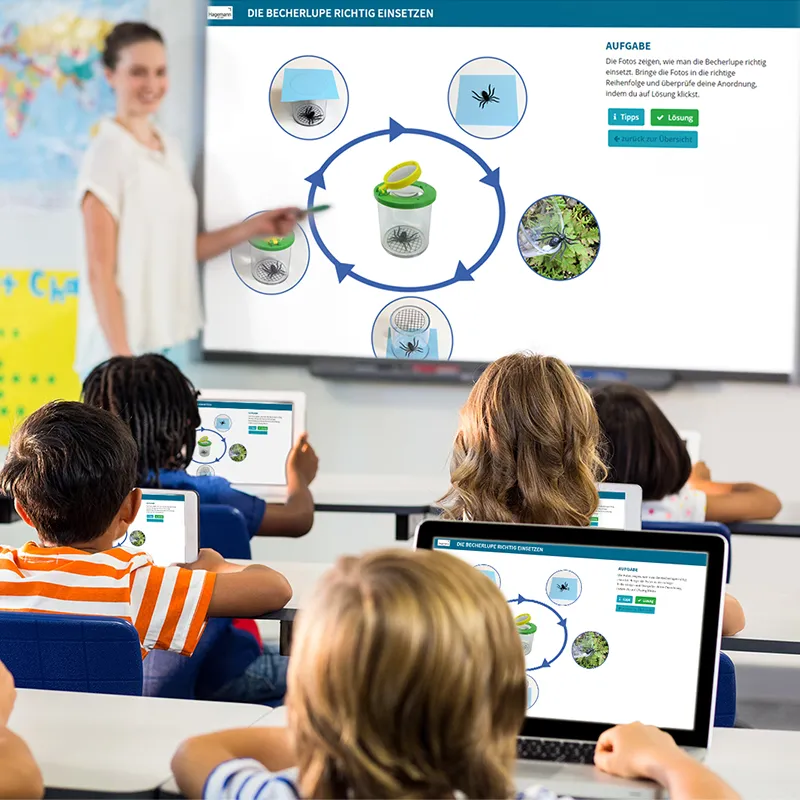 Entdecker-Set "Insekten & Co.", 8-tlg.