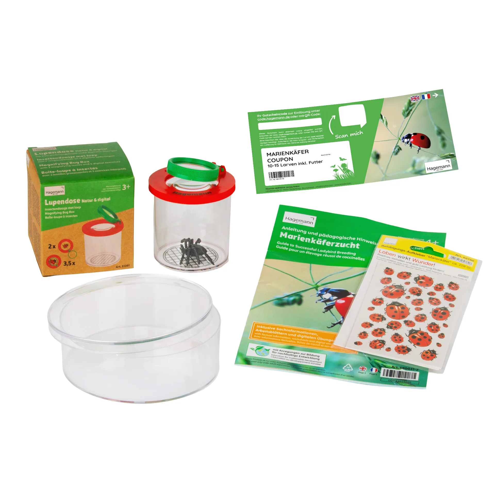 Gutschein-Set "Marienkäfer", kompakt, 5-tlg.
