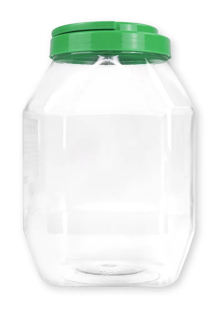 Aufbewahrungsdose groß mit Schraubdeckel blau/grün, transparent