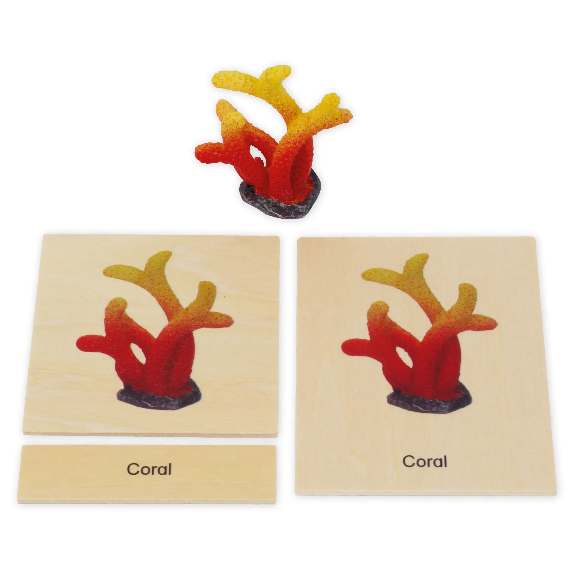 TimeTEX Mini-Meerestiere-Set "Montessori Premium"