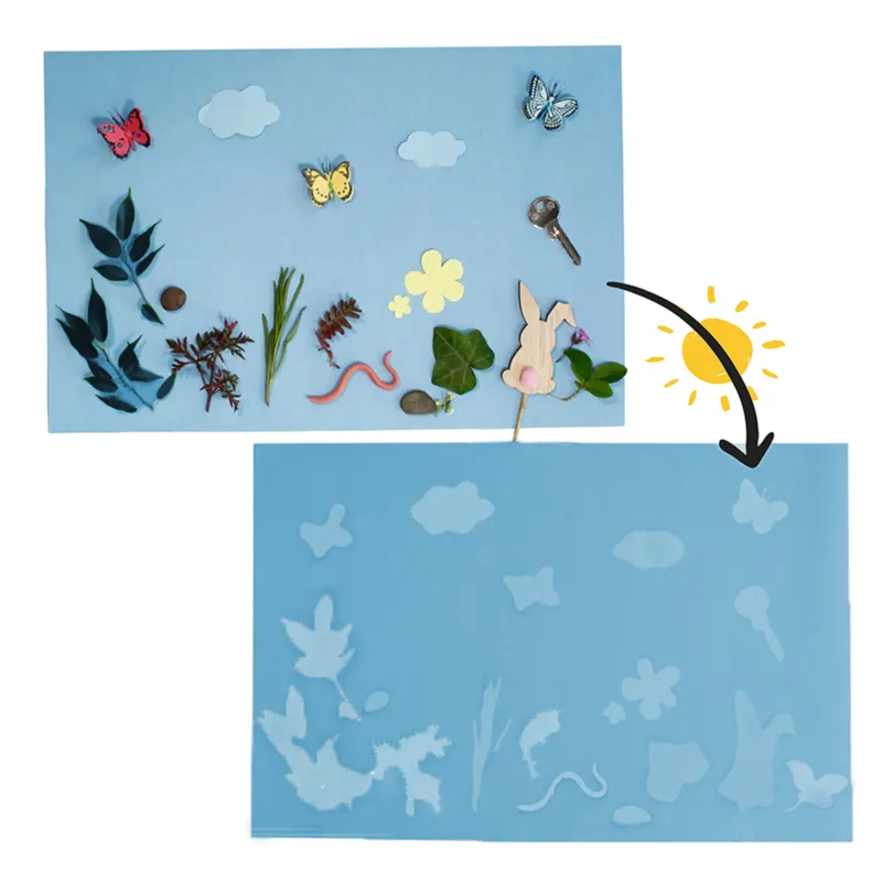 Foto-Solarpapier maxi, 43x27 cm, 20 Blatt