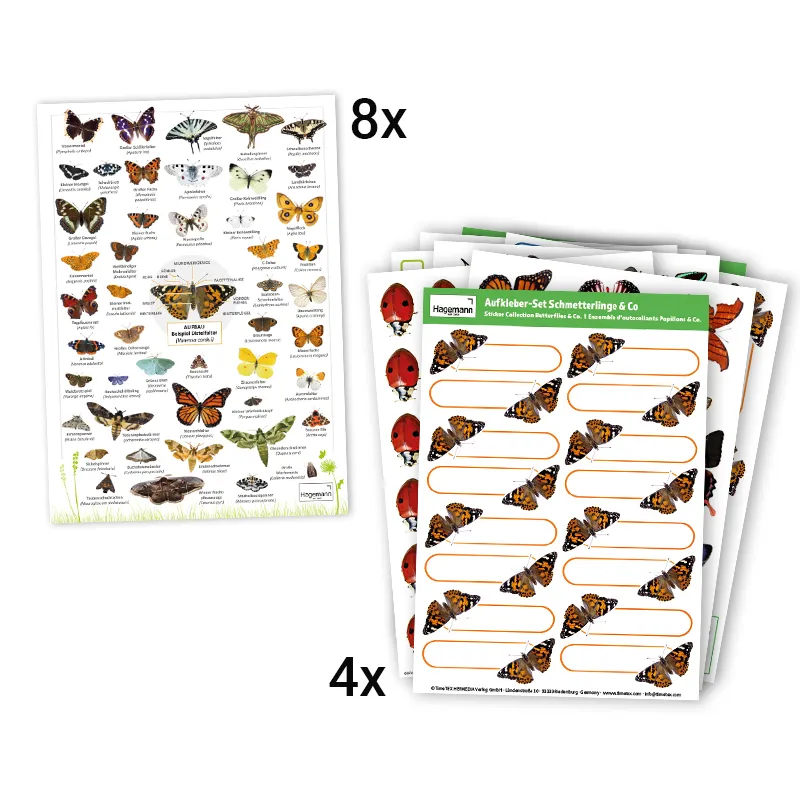 Klassen-Projektset "Schmetterlings-Zucht", 65-tlg.